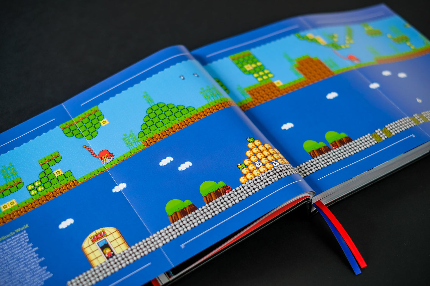 SEGA® Master System: a visual compendium