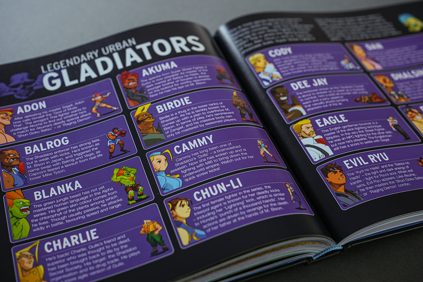 Le livre des pixels GBA