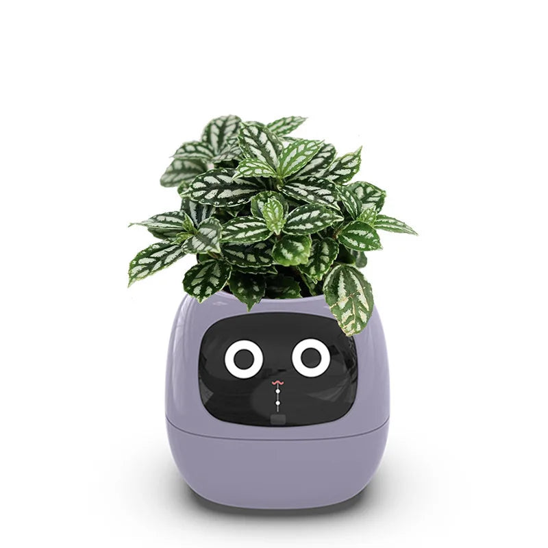 Pot de fleurs connecté Smart Planter AI