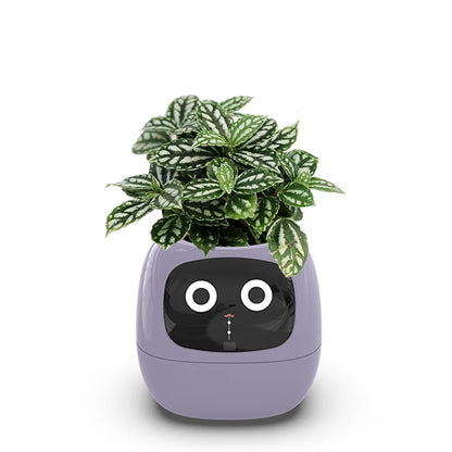 Smart Planter AI Connected Plant Pot