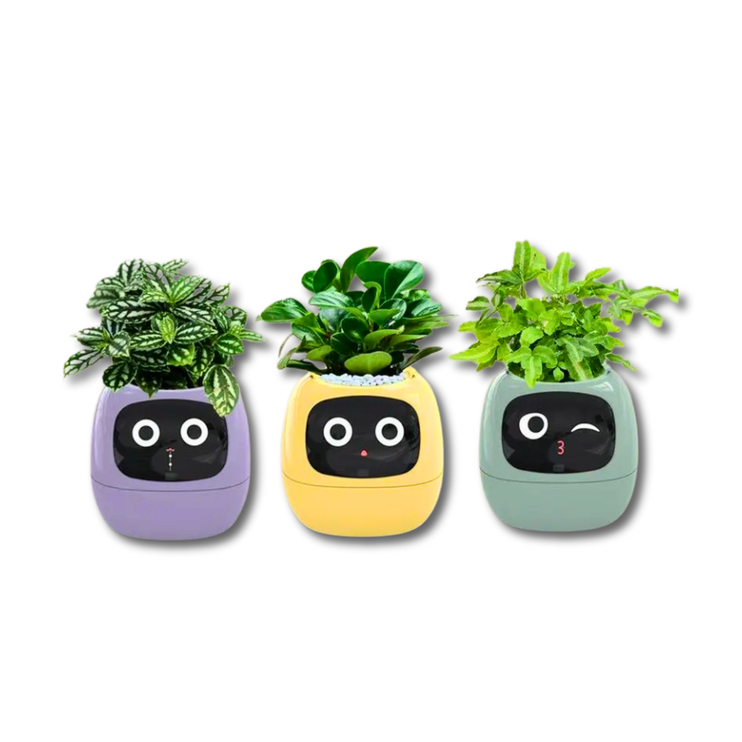 Pot de fleurs connecté Smart Planter AI