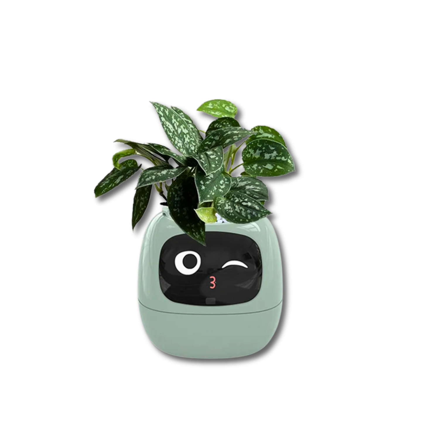 Pot de fleurs connecté Smart Planter AI