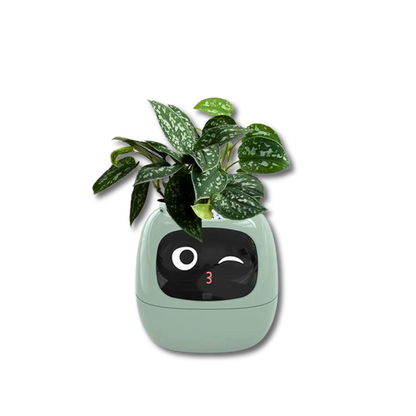 Pot de fleurs connecté Smart Planter AI